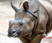 Bilder aus der Wilhelma