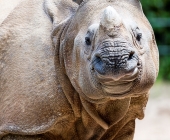 Bilder aus der Wilhelma