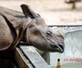 Bilder aus der Wilhelma