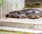 Bilder aus der Wilhelma