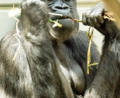 Bilder aus der Wilhelma