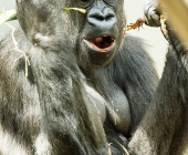 Bilder aus der Wilhelma