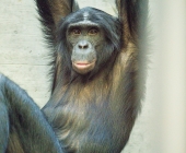 Bilder aus der Wilhelma