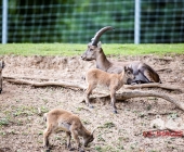 Bilder aus der Wilhelma