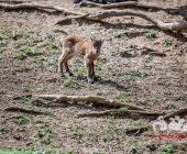 Bilder aus der Wilhelma