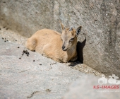 Bilder aus der Wilhelma