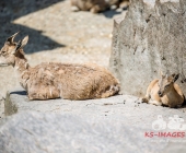 Bilder aus der Wilhelma