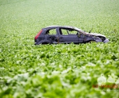 Von der Fahrbahn auf regennasser Fahrbahn abgekommen.