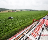 Von der Fahrbahn auf regennasser Fahrbahn abgekommen.