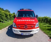 affalterbachermtw_-0009