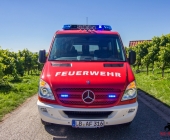 affalterbachermtw_-0041