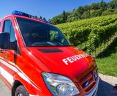 affalterbachermtw_-0047