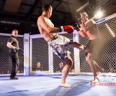 Käfigkampf in Stuttgart - Age of Cage ging in die 10. Runde