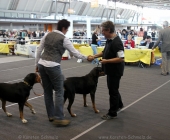 animal2011-0001