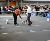 animal2011-0004