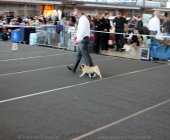 animal2011-0005