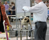 animal2011-0006
