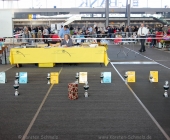 animal2011-0007