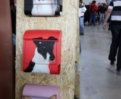 animal2011-0014