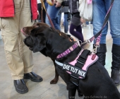 animal2011-0016