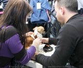 animal2011-0017