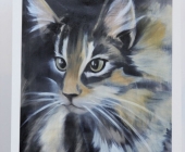 animal2011-0027