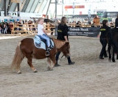 animal2011-0032