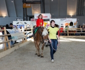 animal2011-0034