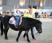 animal2011-0035