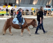 animal2011-0036