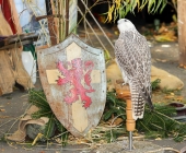 animal2011-0054