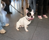 animal2011-0057