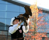 animal2011-0070