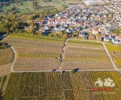 LUFTAUFNAHMEN: Geplantes Neubaugebiet Seelhofen IV Mundelsheim