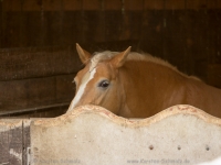 ksch_img_0028
