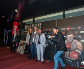 boxkampf-hueck-vs-kasniqi-16-11-2013_-0007