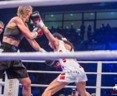 boxkampf-hueck-vs-kasniqi-16-11-2013_-0115