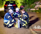 Brand eines Unterstandes greift auf PKW über