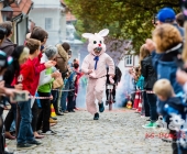 Finale Cobble Hoppel Marbach 2017