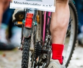 Impressionen des Cobble Hoppel 2017