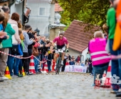 Impressionen des Cobble Hoppel 2017