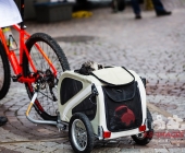 Impressionen des Cobble Hoppel 2017