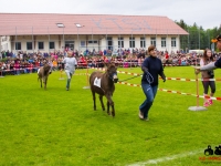 eselrennen-2013-in-berglen-19-05-2013_0006