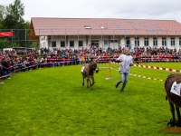 eselrennen-2013-in-berglen-19-05-2013_0008