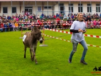eselrennen-2013-in-berglen-19-05-2013_0009