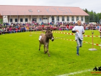 eselrennen-2013-in-berglen-19-05-2013_0010