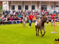 eselrennen-2013-in-berglen-19-05-2013_0015