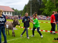 eselrennen-2013-in-berglen-19-05-2013_0017