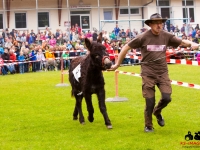eselrennen-2013-in-berglen-19-05-2013_0021