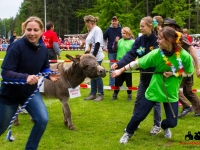 eselrennen-2013-in-berglen-19-05-2013_0022